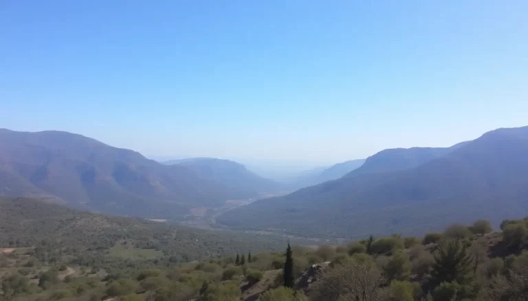 Rubio dorado de la Serranía de Ronda: características y crianza
